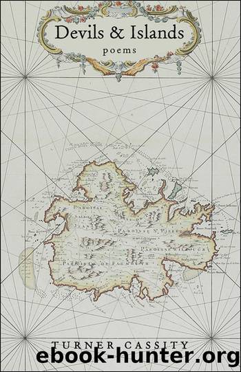 Devils & Islands by Turner Cassity