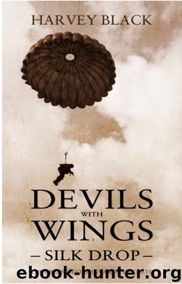 Devils with Wings: Silk Drop by Harvey Black