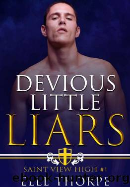 Devious Little Liars: A High School Bully Romance (Saint View High Book 1) by Elle Thorpe