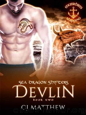 Devlin by C J Matthew
