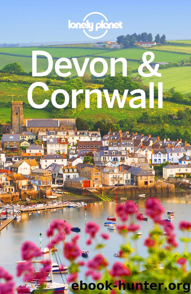 Devon & Cornwall Travel Guide by Lonely Planet