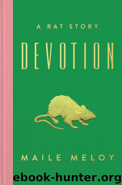 Devotion by Maile Meloy