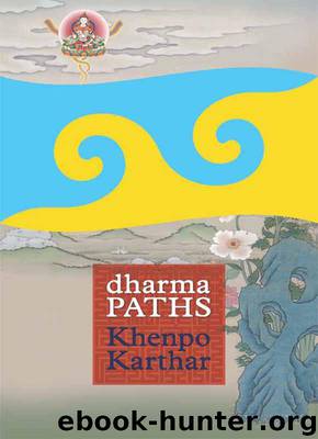Dharma Paths (Dream Flag Series) by Rinpoche Ve n. Khenpo Karthar