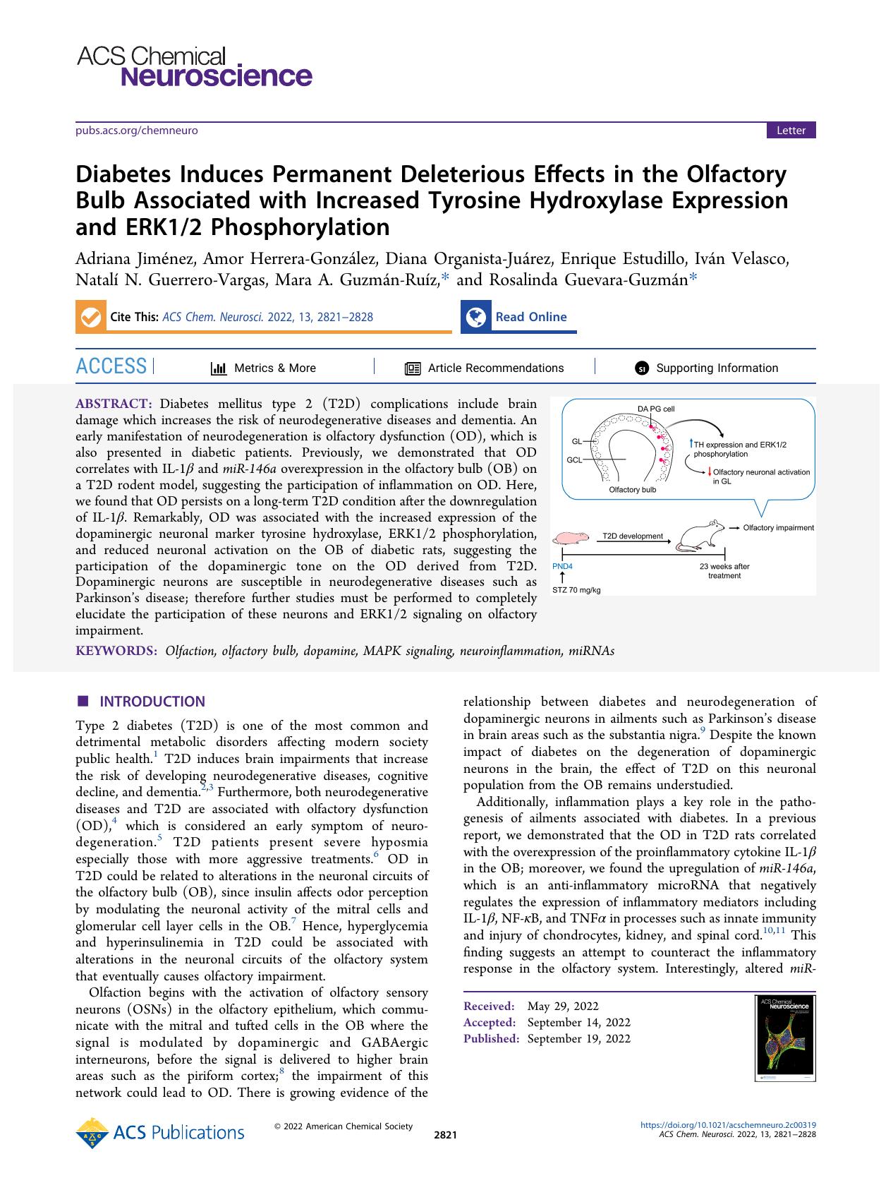 Diabetes Induces Permanent Deleterious Effects in the Olfactory Bulb Associated with Increased Tyrosine Hydroxylase Expression and ERK12 Phosphorylation by unknow