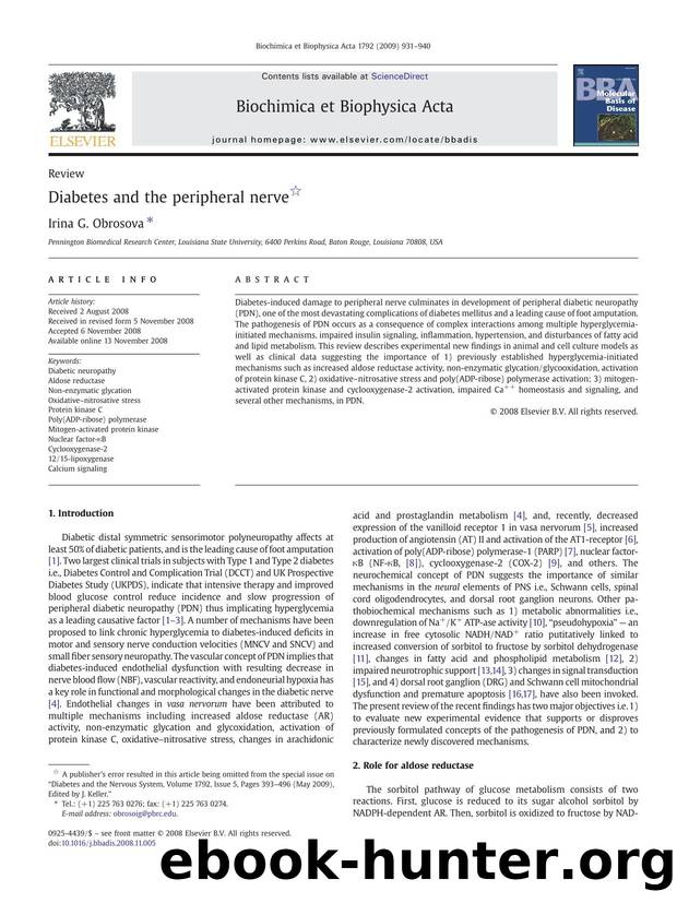 Diabetes and the peripheral nerve by Irina G. Obrosova