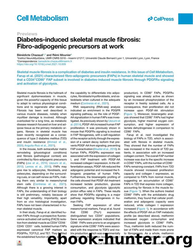 Diabetes-induced skeletal muscle fibrosis: Fibro-adipogenic precursors at work by Bénédicte Chazaud & Rémi Mounier