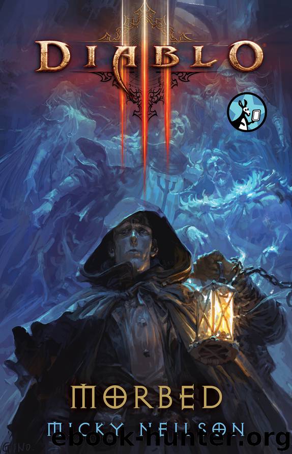 Diablo III by Micky Neilson
