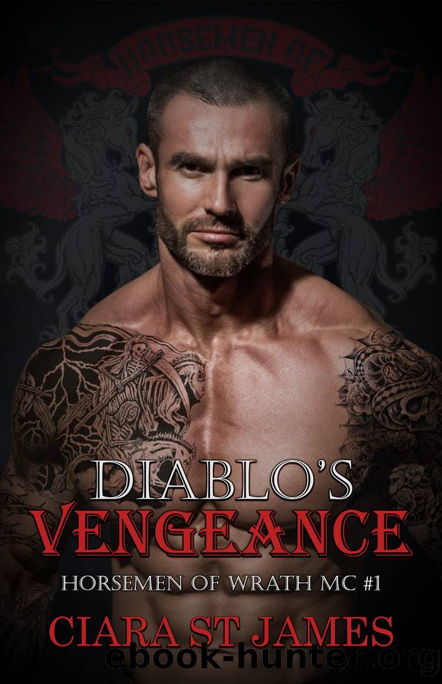 Diablo's Vengeance (Horsemen of Wrath MC Book 1) by Ciara St James