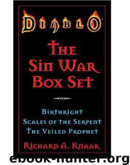Diablo: The Sin War Box Set by RICHARD A. KNAAK