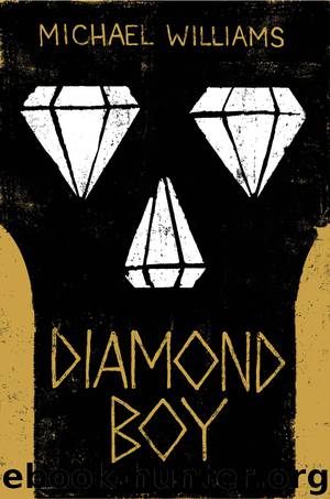 Diamond Boy by Michael Williams