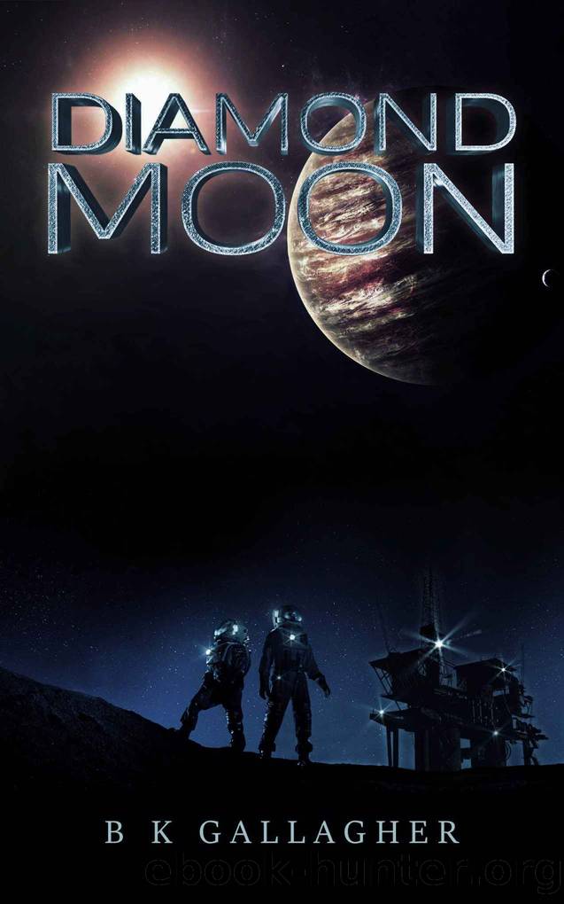 Diamond Moon by B K Gallagher