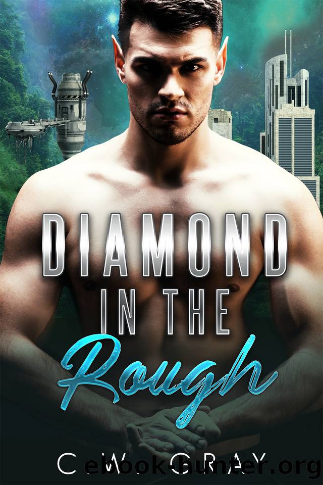 Diamond in the Rough: Crellic Revival by C.W. Gray