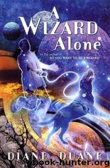 Diane Duane - Wizard 06 by A Wizard Alone