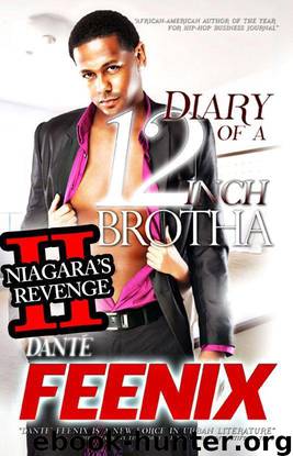 Diary of a 12 Inch Brotha! 2 by Dante Feenix