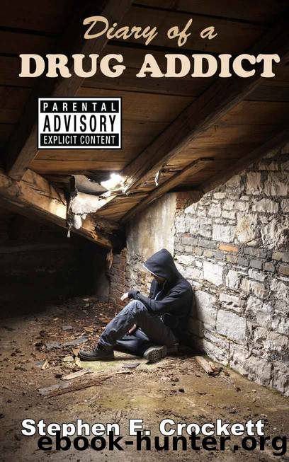 Diary of a Drug Addict by Stephen E Crockett