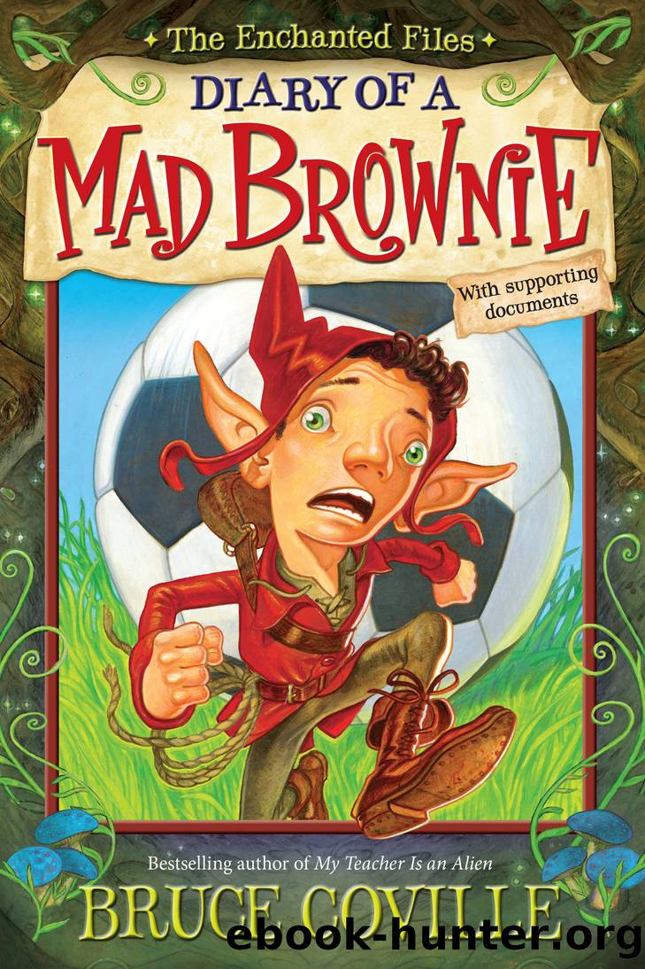 Diary of a Mad Brownie by Bruce Coville