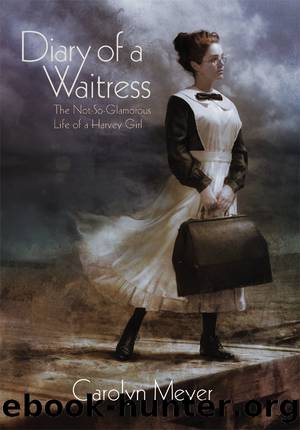 Diary of a Waitress by Carolyn Meyer