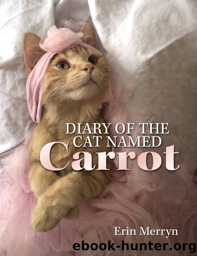 Diary of the Cat Named Carrot by Erin Merryn