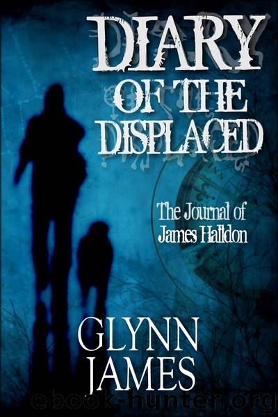 Diary of the Displaced (Entire Novel) by Glynn James