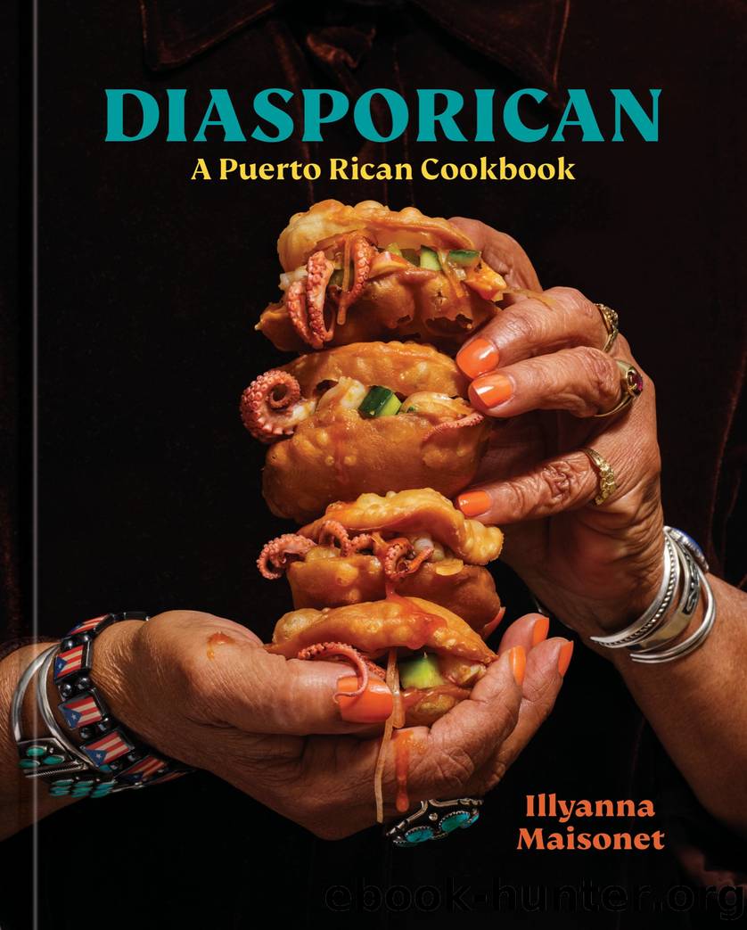 Diasporican by Illyanna Maisonet