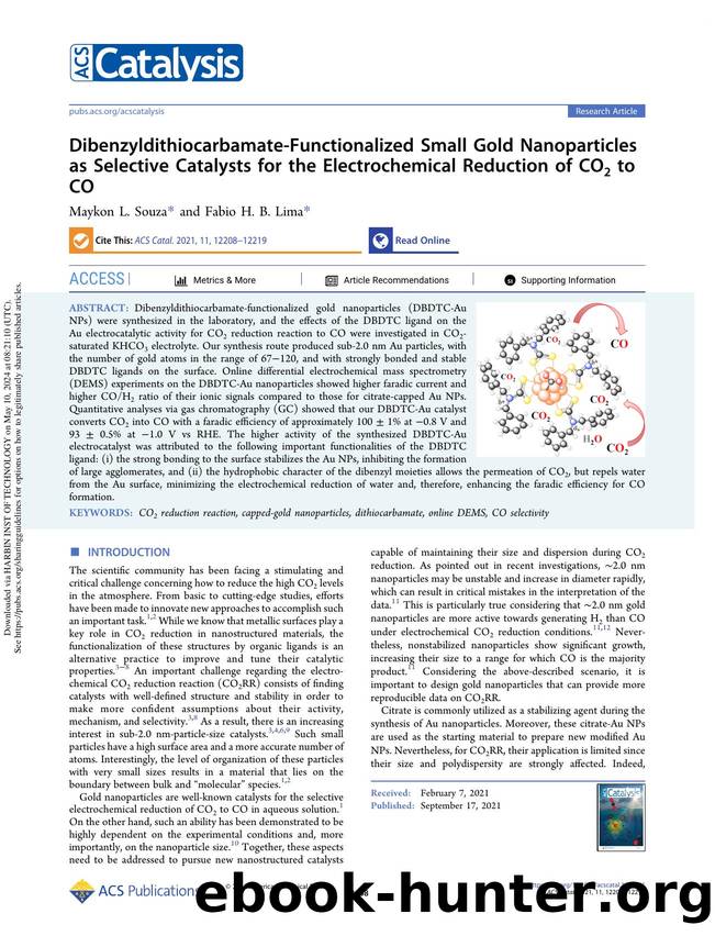 Dibenzyldithiocarbamate-Functionalized Small Gold Nanoparticles as Selective Catalysts for the Electrochemical Reduction of CO2 to CO by Maykon L. Souza & Fabio H. B. Lima