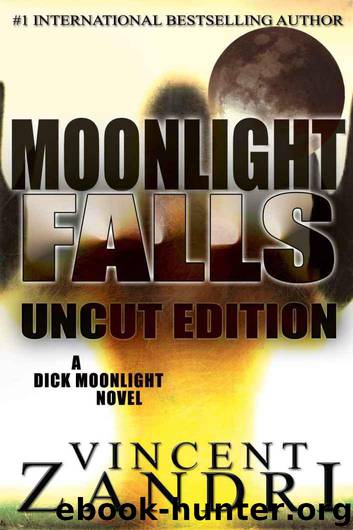 Dick Moonlight - 01 - Moonlight Falls by Vincent Zandri