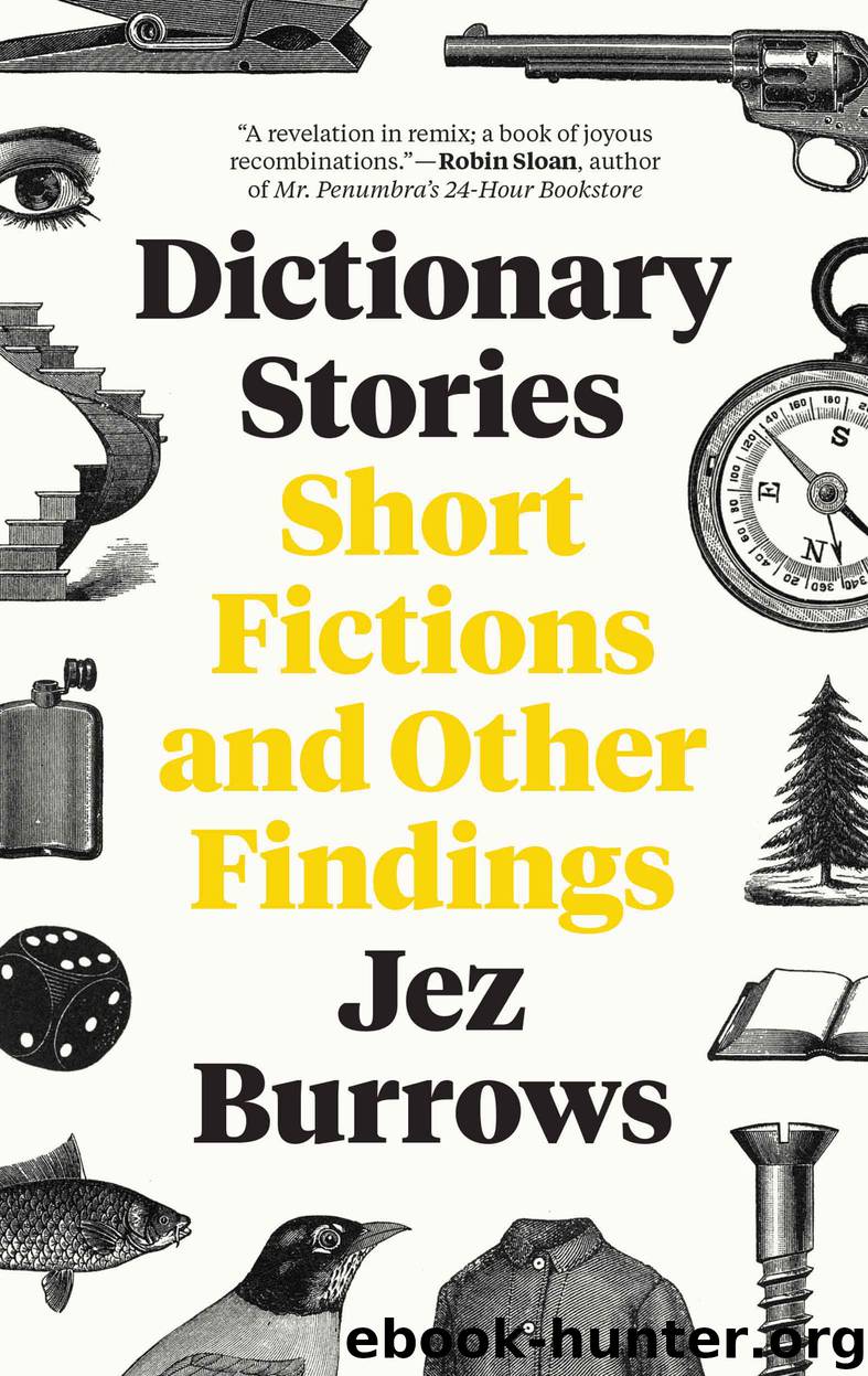 Dictionary Stories by Jez Burrows