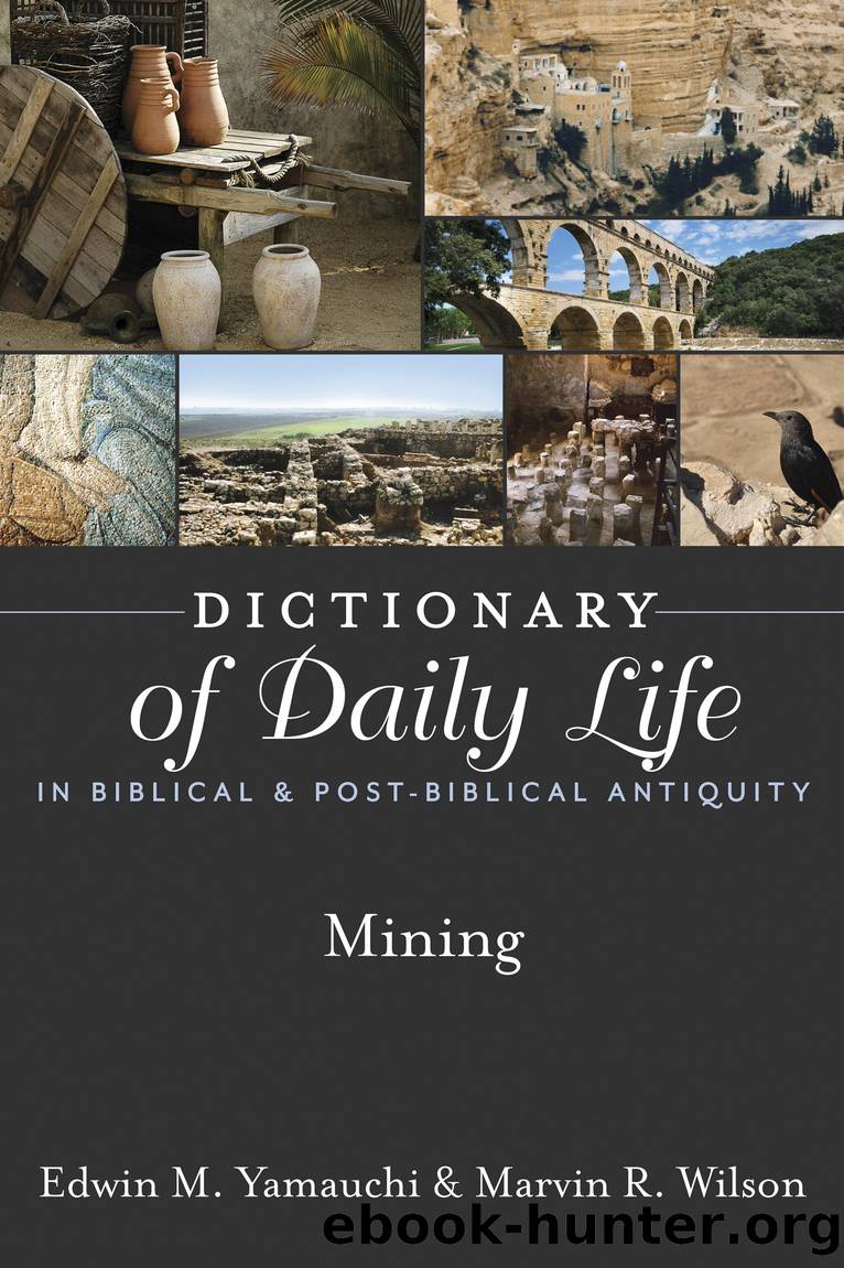 Dictionary of Daily Life in Biblical & Post-Biblical Antiquity: Mining by Edwin M. Yamauchi