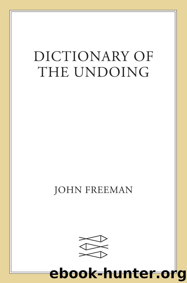 Dictionary of the Undoing by Valeria Luiselli