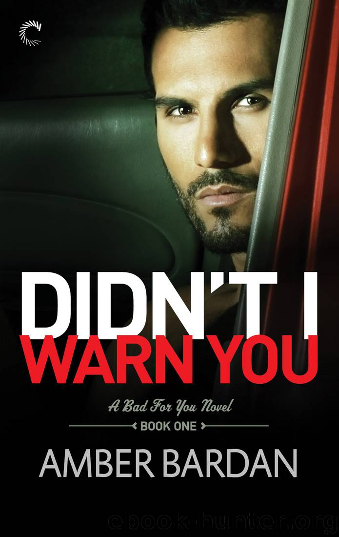 Didn't I Warn You by Amber Bardan