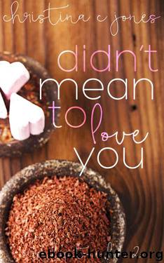 Didn't Mean To Love You (Serendipitous Love Book 2) by Christina C Jones