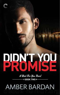 Didn't You Promise (A Bad for You Novel) by Amber Bardan