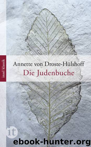 Die Judenbuche by Droste-Huelshoff von Anette