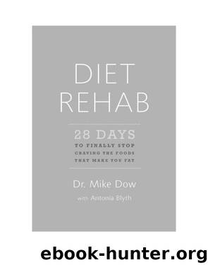 Diet Rehab by Mike Dow