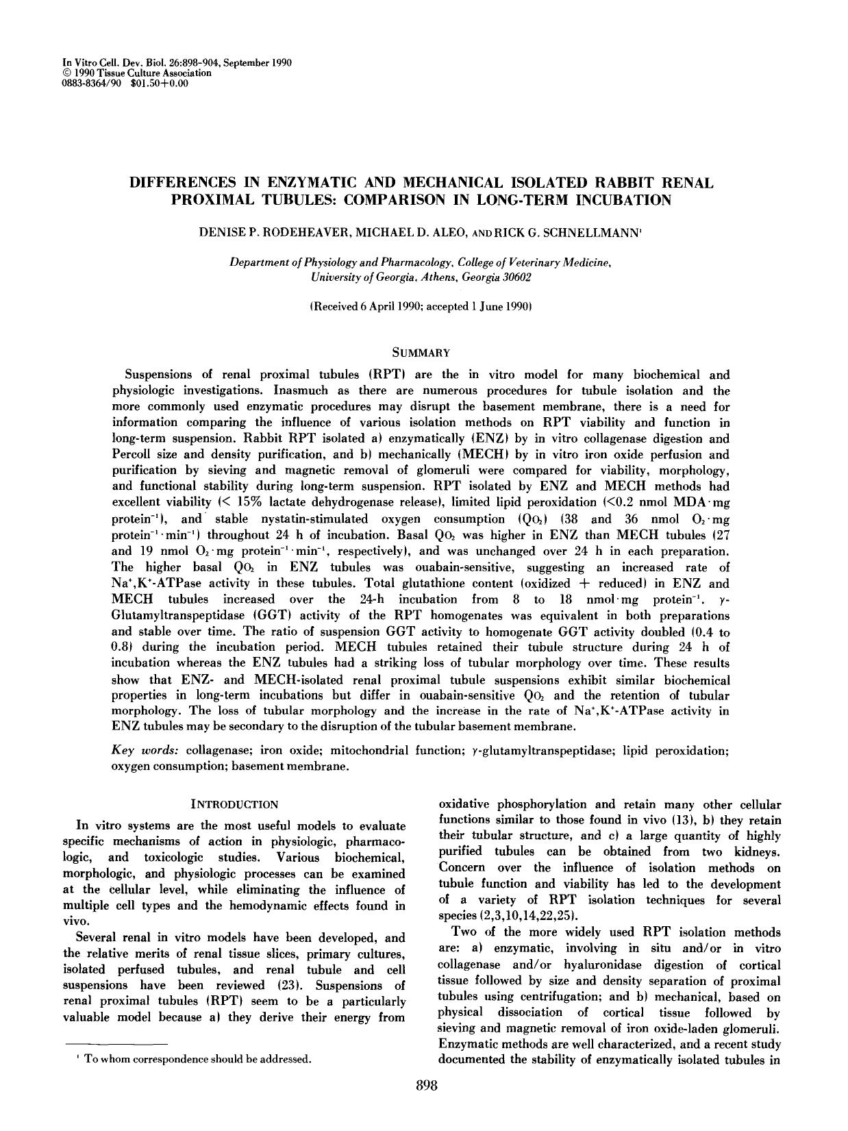 Differences in enzymatic and mechanical isolated rabbit renal proximal tubules: Comparison in long-term incubation by Unknown