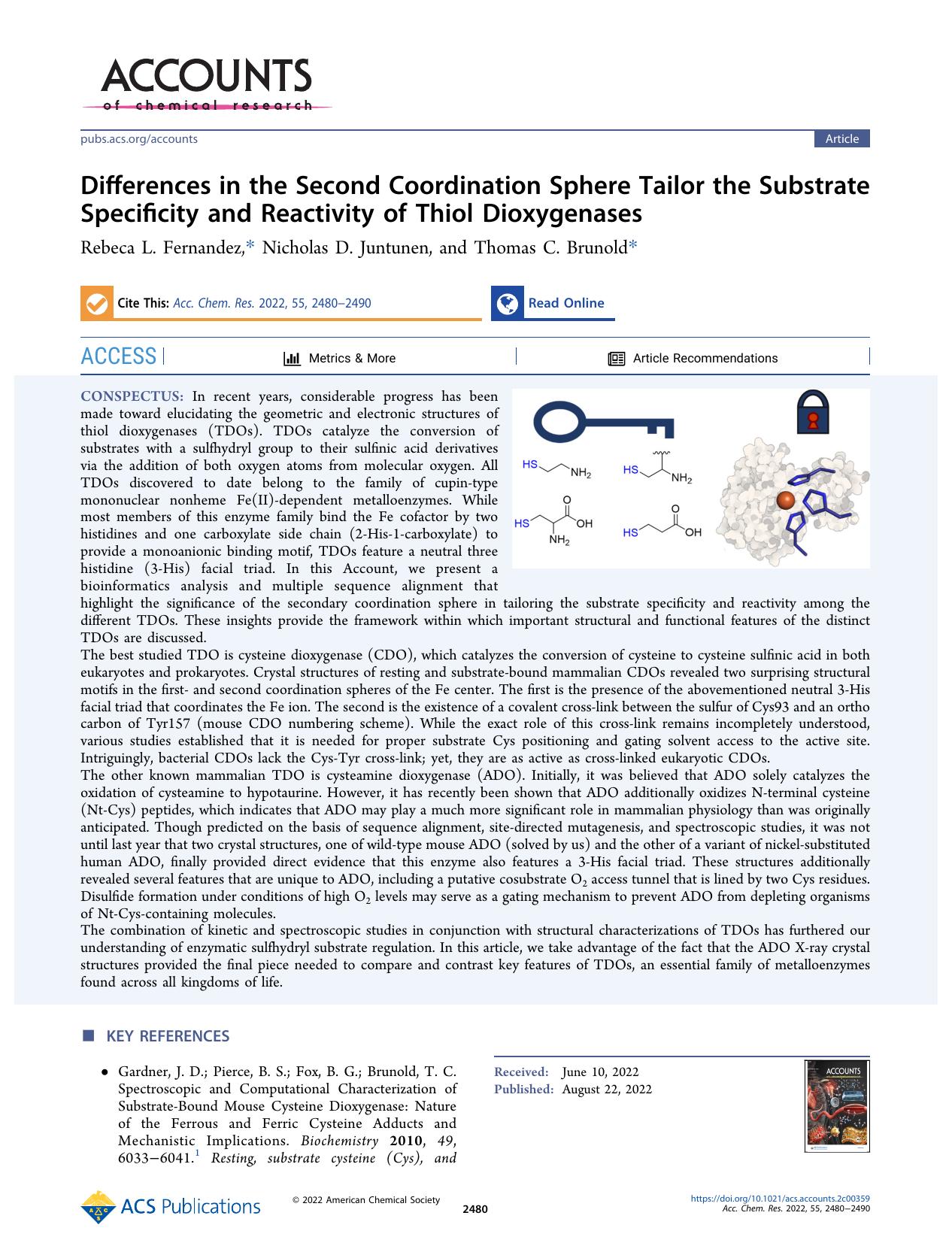 Differences in the Second Coordination Sphere Tailor the Substrate Specificity and Reactivity of Thiol Dioxygenases by Rebeca L. Fernandez Nicholas D. Juntunen and Thomas C. Brunold