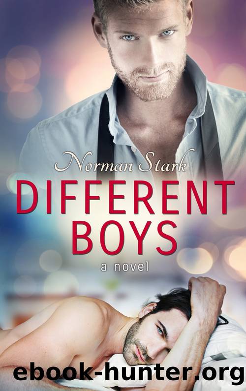 Different Boys by Norman Stark