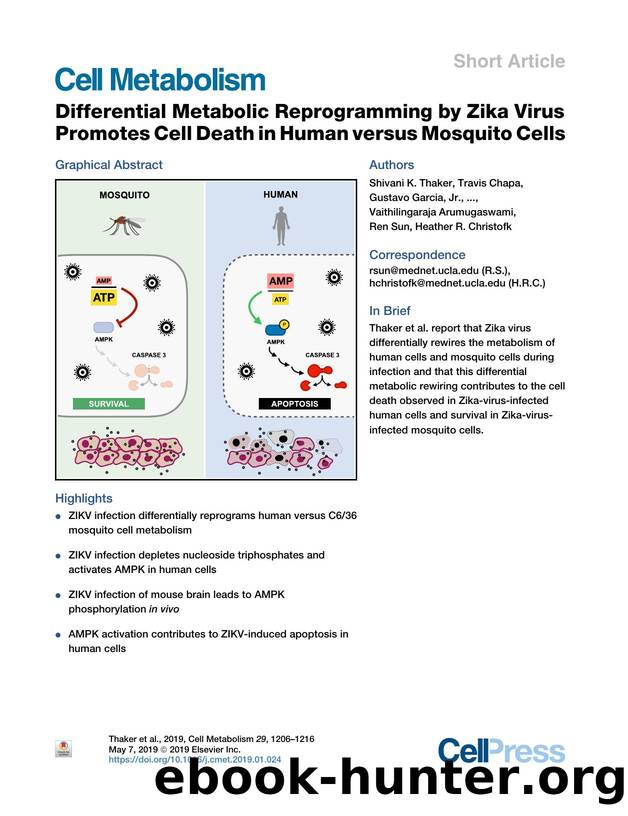 Differential Metabolic Reprogramming by Zika Virus Promotes Cell Death in Human versus Mosquito Cells by unknow