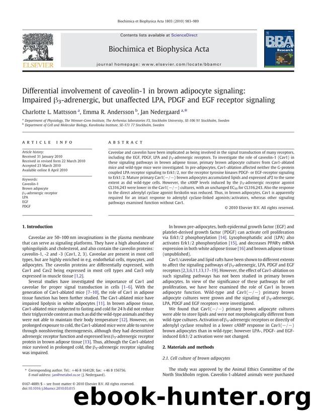 Differential involvement of caveolin-1 in brown adipocyte signaling: Impaired Î²3-adrenergic, but unaffected LPA, PDGF and EGF receptor signaling by Charlotte L. Mattsson; Emma R. Andersson; Jan Nedergaard
