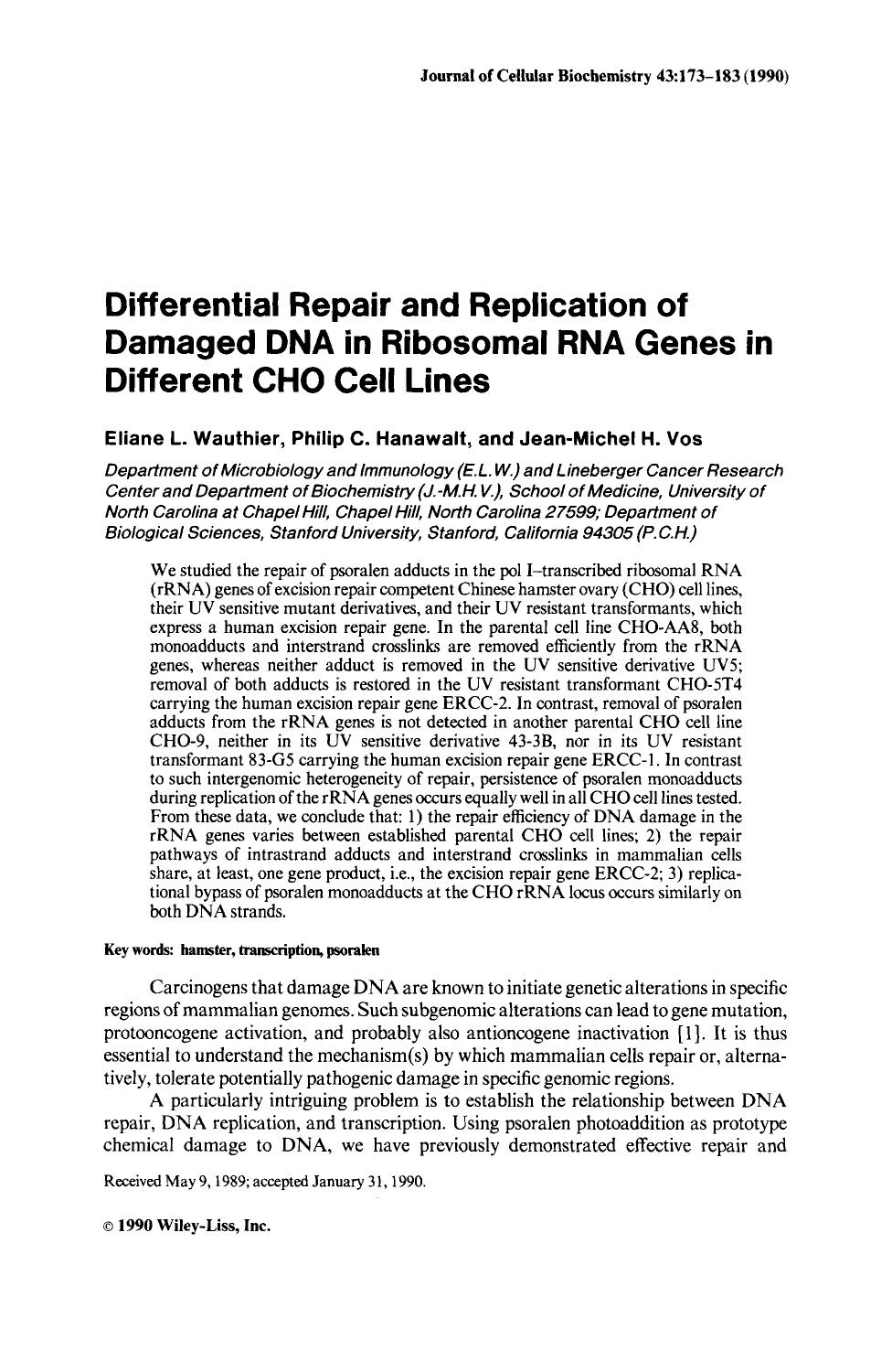 Differential repair and replication of damaged DNA in ribosomal RNA genes in different CHO cell lines by Unknown