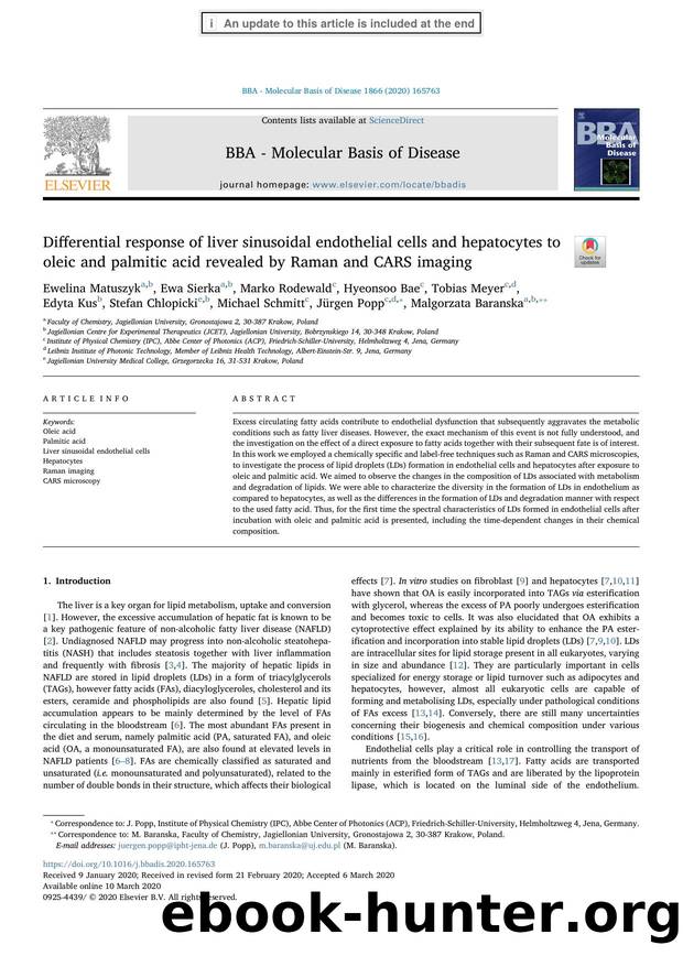 Differential response of liver sinusoidal endothelial cells and hepatocytes to oleic and palmitic acid revealed by Raman and CARS imaging by unknow
