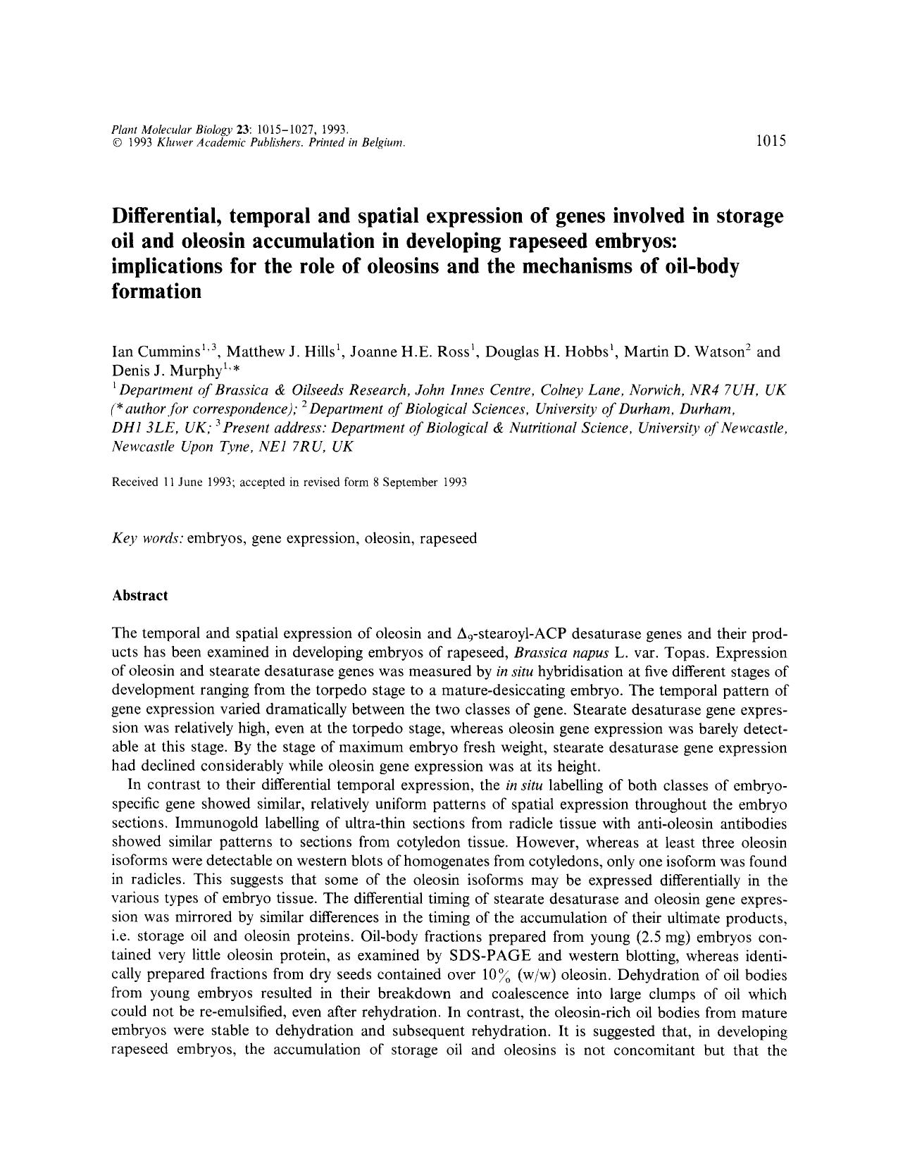 Differential, temporal and spatial expression of genes involved in storage oil and oleosin accumulation in developing rapeseed embryos: implications for the role of oleosins and th by Unknown