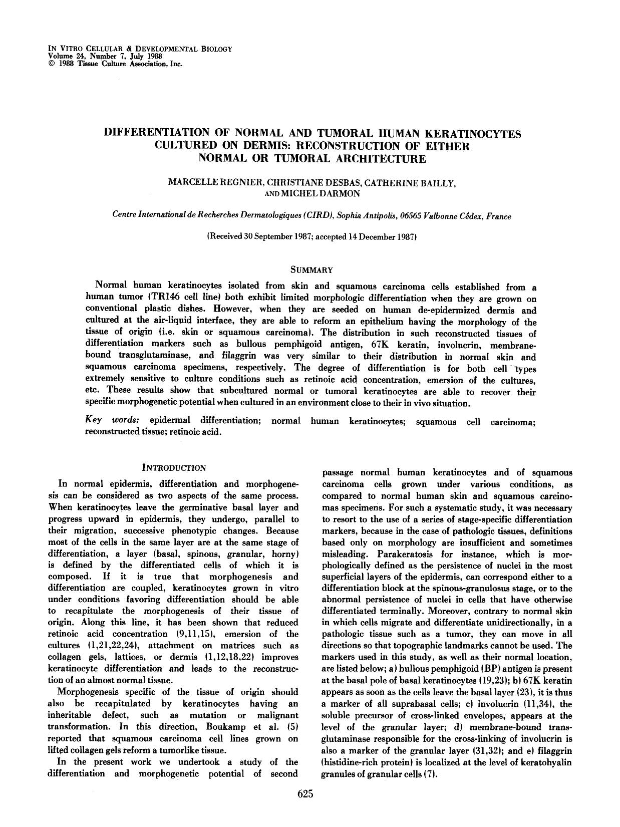 Differentiation of normal and tumoral human keratinocytes cultured on dermis: Reconstruction of either normal or tumoral architecture by Unknown