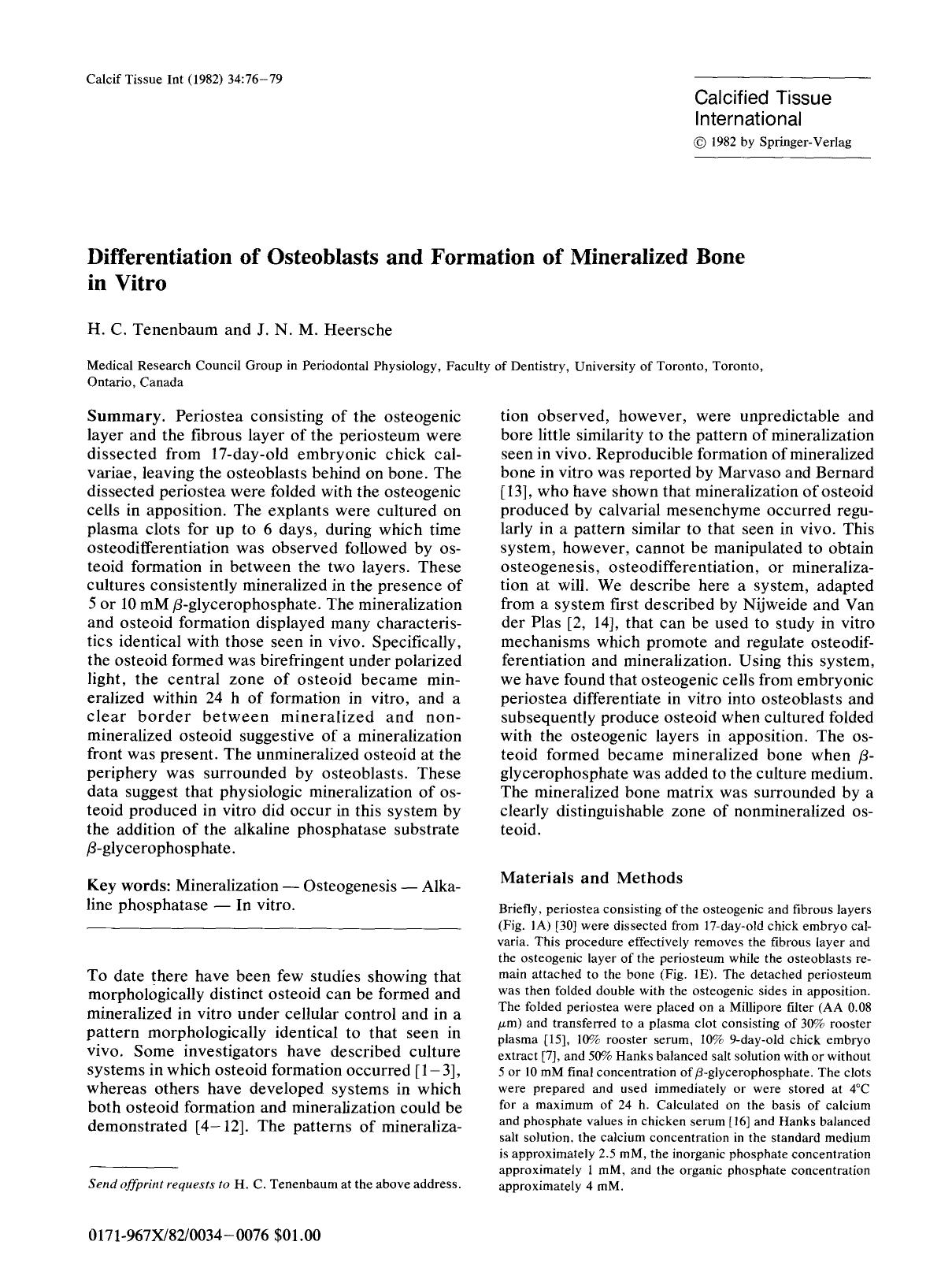 Differentiation of osteoblasts and formation of mineralized bone in vitro by Unknown