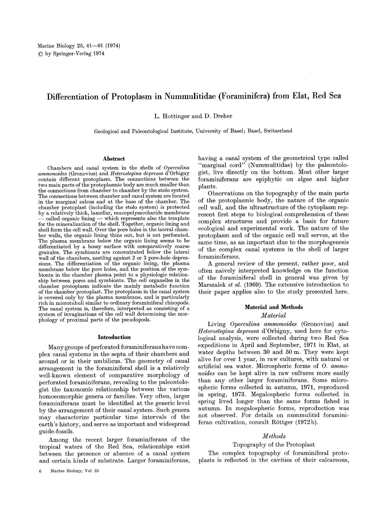 Differentiation of protoplasm in nummulitidae (Foraminifera) from Elat, Red Sea by Unknown