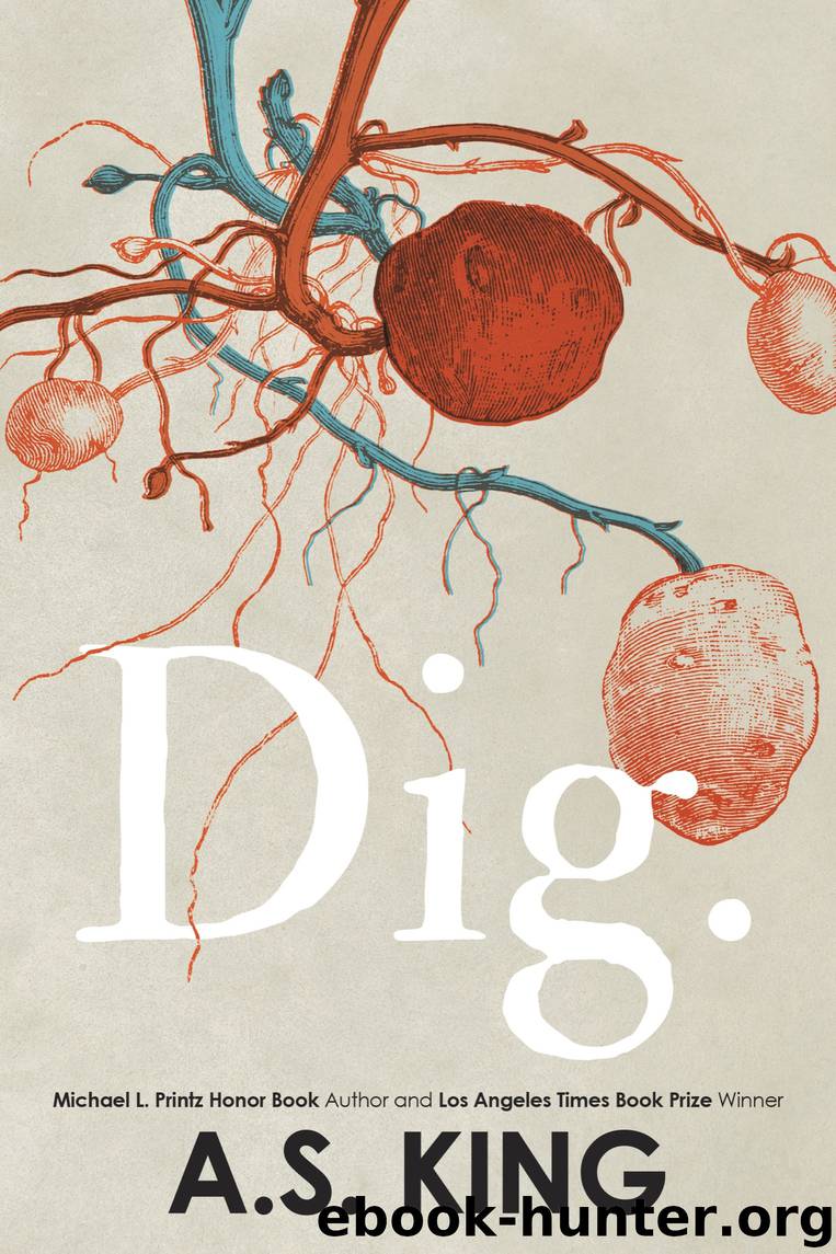 Dig by A.S. King