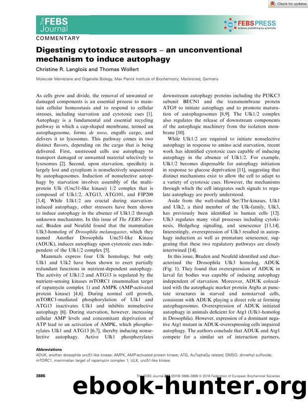 Digesting cytotoxic stressors â an unconventional mechanism to induce autophagy by Unknown