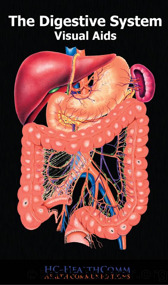 Digestive System, Visual Aids: Full Illustrated by HC-HealthComm