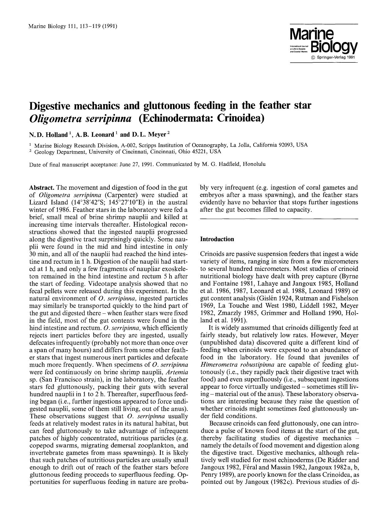 Digestive mechanics and gluttonous feeding in the feather star <Emphasis Type="Italic">Oligometra serripinna <Emphasis> (Echinodermata: Crinoidea) by Unknown
