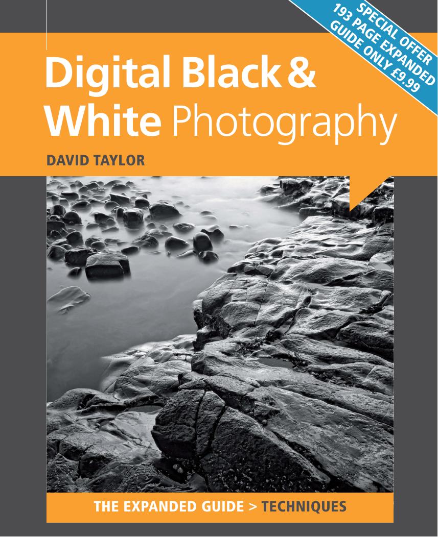 Digital Black & White Photography (Expanded Guide Techniques) by David Taylor